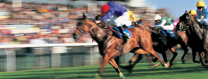 Enjoy the Del Mar Thoroughbred Club this summer for racing season Enjoy the Del Mar Thoroughbred Club this summer for racing season