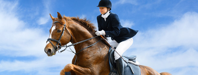 Del Mar Horse Show 2015 Del Mar Horse Show 2015