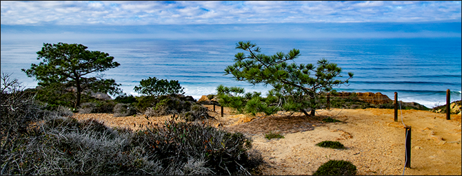Beautiful Torrey Pines Beautiful Torrey Pines