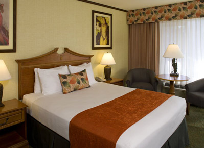 Standard Single Room in BEST WESTERN Seven Seas, San Diego Standard Single Room in BEST WESTERN Seven Seas, San Diego